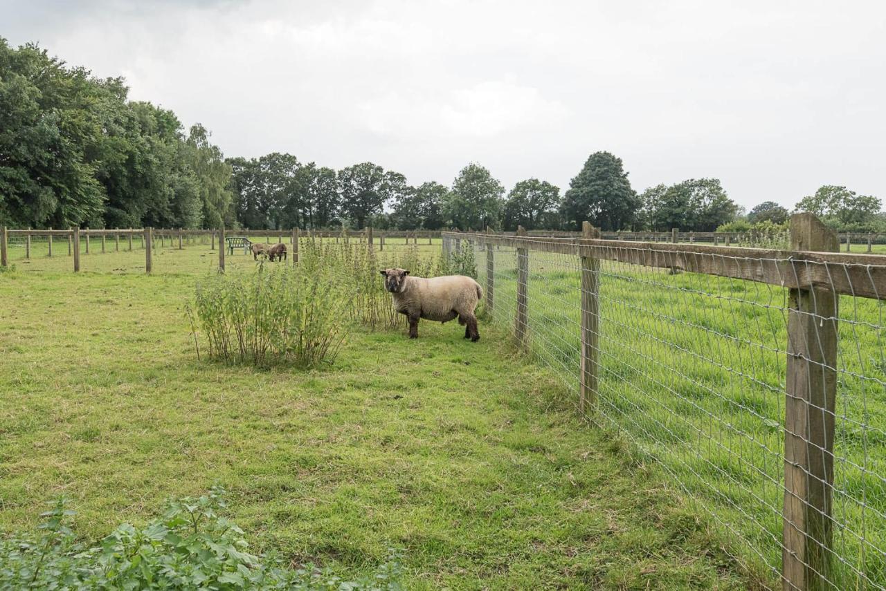 Grove Farm With Swimming Pool, Dallinghoo * Woodbridge