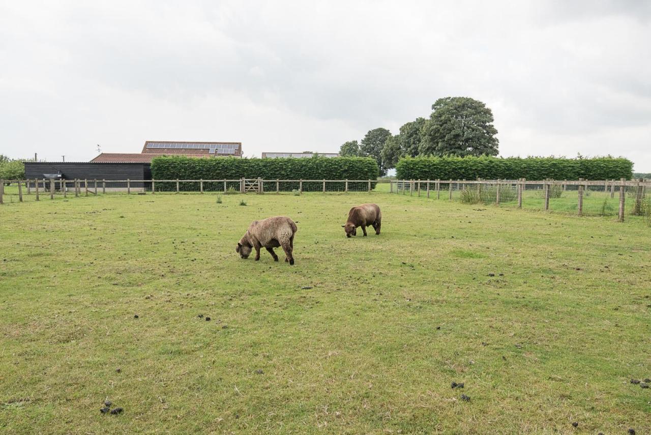 Grove Farm With Swimming Pool, Dallinghoo